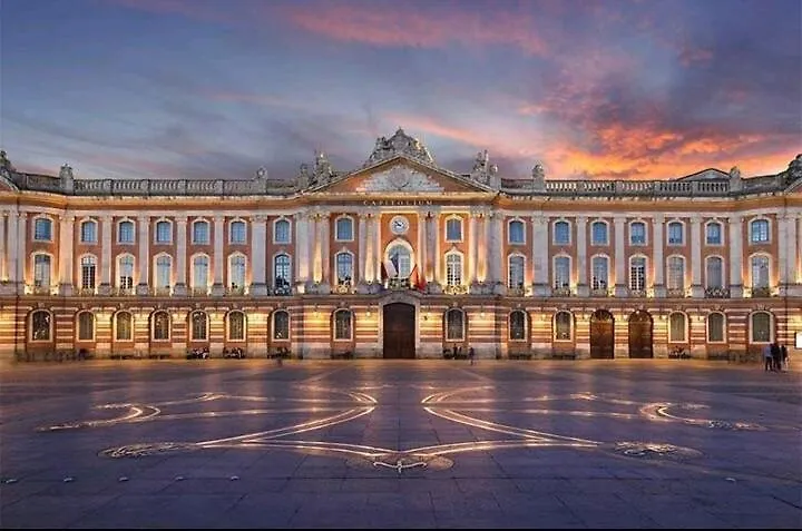 Apartment Le Golden Magnifique Studio Toulouse Centre