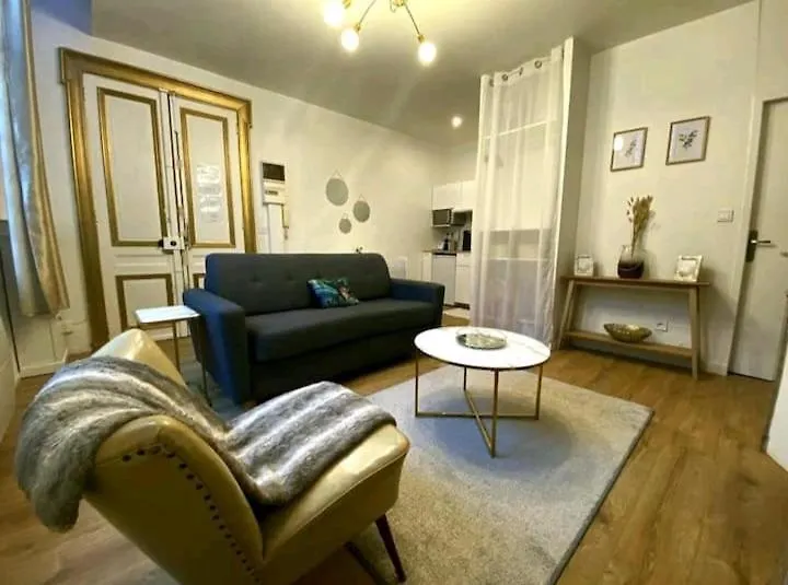 Apartment Le Golden Magnifique Studio Toulouse Centre