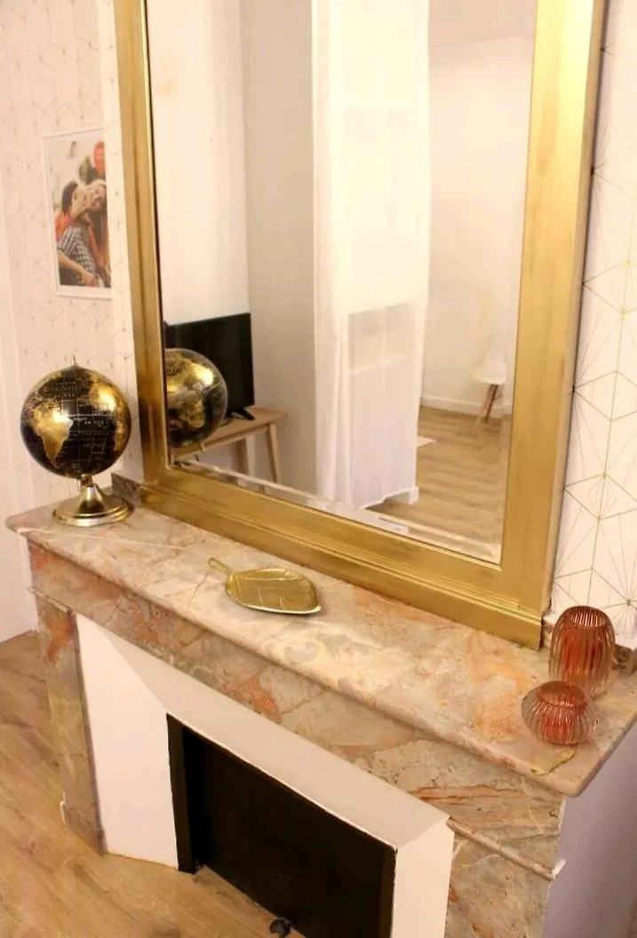Apartment Le Golden Magnifique Studio Toulouse Centre France