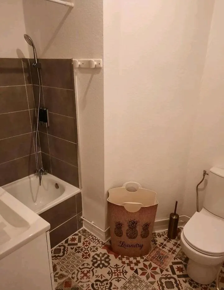 Apartment Le Golden Magnifique Studio Toulouse Centre