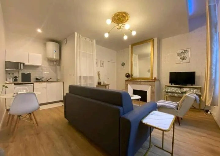 Le Golden Magnifique Studio Toulouse Centre